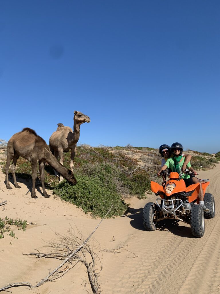Best moment in essaouira 