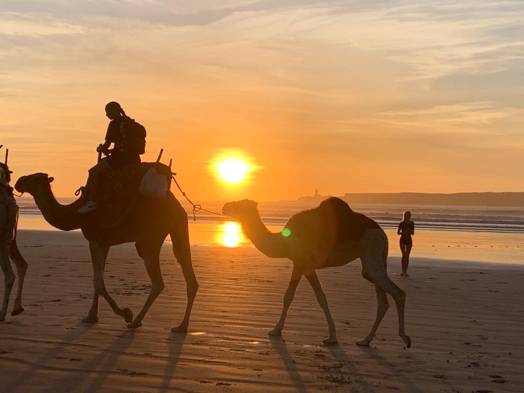 Best ride trip in essaouira 